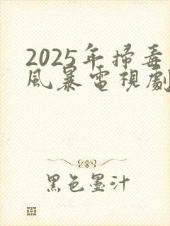2025年扫毒风暴电视剧在线观看