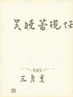 吴晓蕾现任丈夫封面