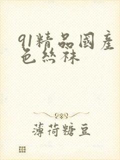 91精品国产黑色丝袜