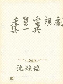 老舅电视剧多少集一共