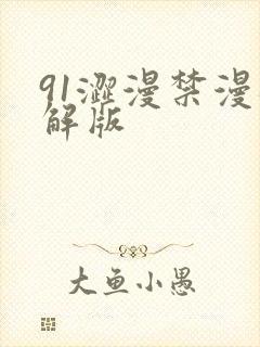 91涩漫禁漫破解版