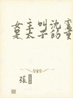 女主叫沈鸾男主是太子的重生小说