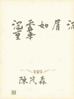 沉香如屑 沉香重华封面