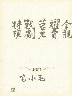 特战荣耀全集电视剧免费观看封面