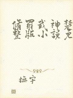 修罗武神楚枫完整版小说免费阅读