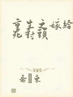 重生之嫁给渣男死对头