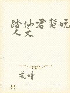 踏仙君楚晚宁同人文