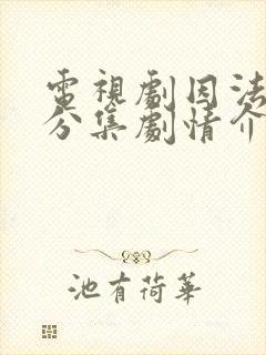 电视剧因法之名分集剧情介绍封面