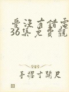 爱没有错电视剧36集免费观看剧情