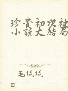 珍贵初次被夺走小说大结局