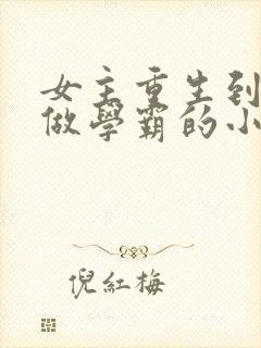 女主重生到初中做学霸的小说