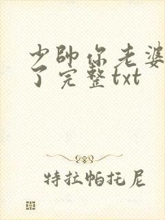 少帅你老婆又跑了完整txt