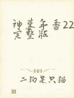 神墓年番22集完整版