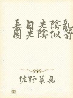长日光阴乱作一团光阴似箭眇眇翟