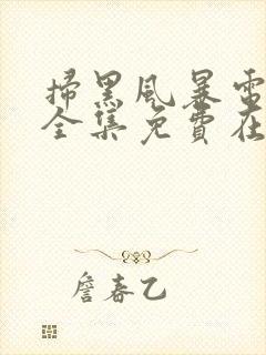 扫黑风暴电视剧全集免费在线观看封面
