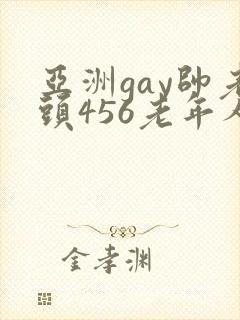 亚洲gay帅老头456老年人
