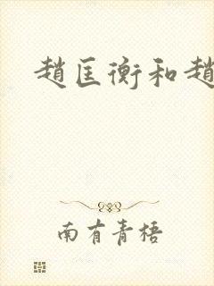 赵匡衡和赵匡胤封面