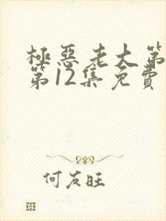 极恶老大第二季第12集免费观看
