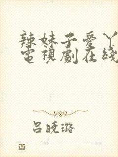 辣妹子爱丫爱丫电视剧在线观看