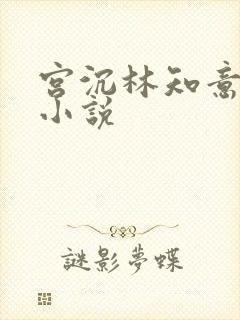 宫沉林知意正版小说