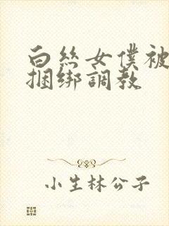 白丝女仆被主人捆绑调教
