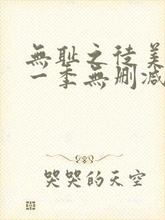 无耻之徒美版第一季无删减封面