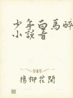 少年白马醉春风小说看