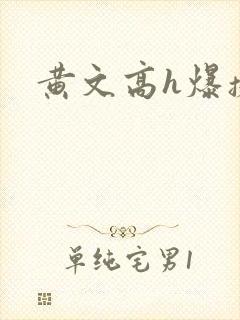 黄文高h爆操h