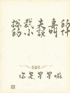 总裁夫妻的绿主的小说叫什么名字封面