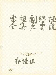 电视剧终极对决全集免费观看封面