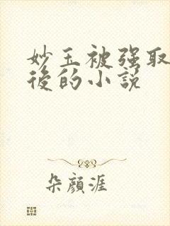 妙玉被强取豪夺后的小说