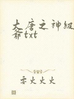 大唐之神级太子爷txt封面