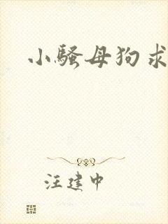 小骚母狗求操