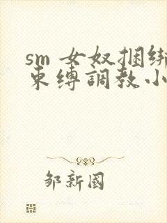 sm 女奴捆绑束缚调教小说封面