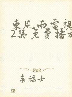 东风雨电视剧42集免费播放