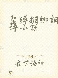 紧缚捆绑调教虐待小说