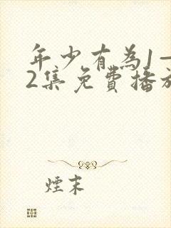 年少有为1—42集免费播放