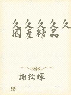 久久久久久综合国产精品封面