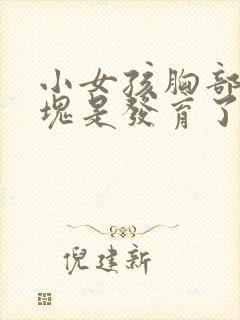 小女孩胸部有硬块是发育了吗封面