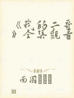 《我的二哥二嫂》全集观看封面
