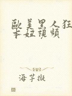 欧美黑人狂躁日本妞视频