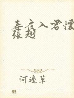 春夜入君怀短剧张翅