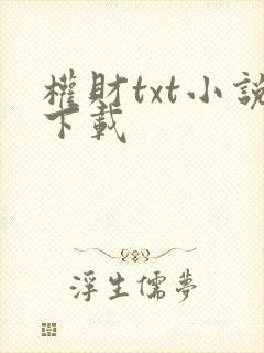 权财txt小说下载