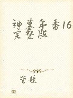 神墓年番16集完整版封面