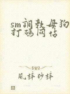 sm调教母狗不打码网站封面