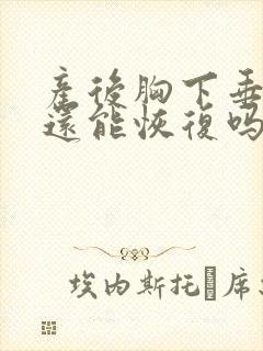 产后胸下垂干瘪还能恢复吗封面