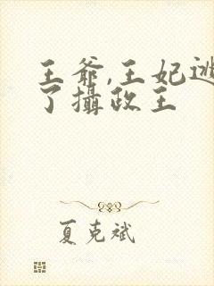 王爷,王妃逃跑了摄政王