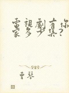 电视剧有你才有家多少集?
