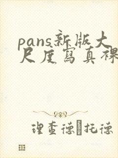 pans新版大尺度写真裸模私拍视频在线