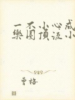 一不小心成了娱乐圈顶流小说在线阅读